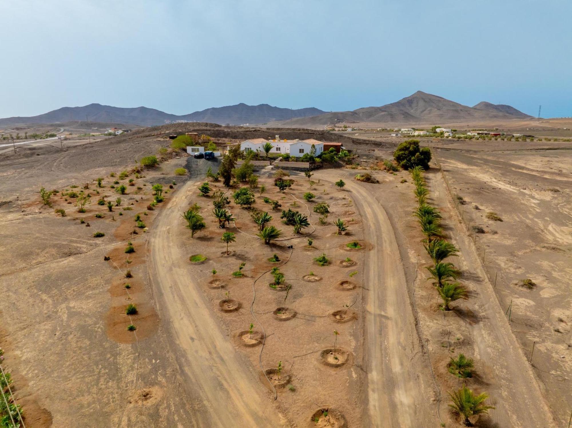 Casa Amaya - Spacious House With Pool, Large Garden, Bbq, 2 Terraces, And Ideal Location El Charco  المظهر الخارجي الصورة